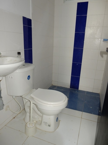 DSCN7135.JPG