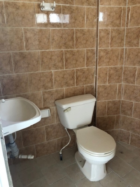 image5.jpeg
