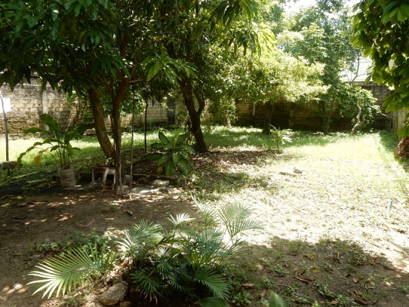 DSCN6357.JPG