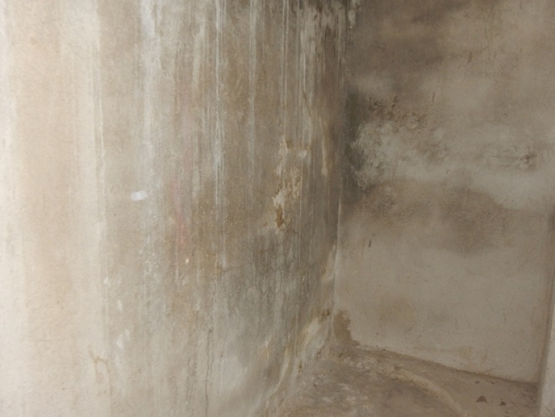 DSCN8406.JPG