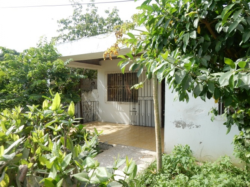 DSCN7498.JPG