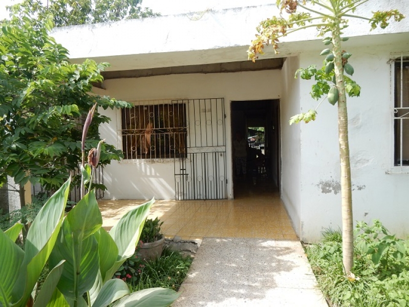 DSCN7499.JPG