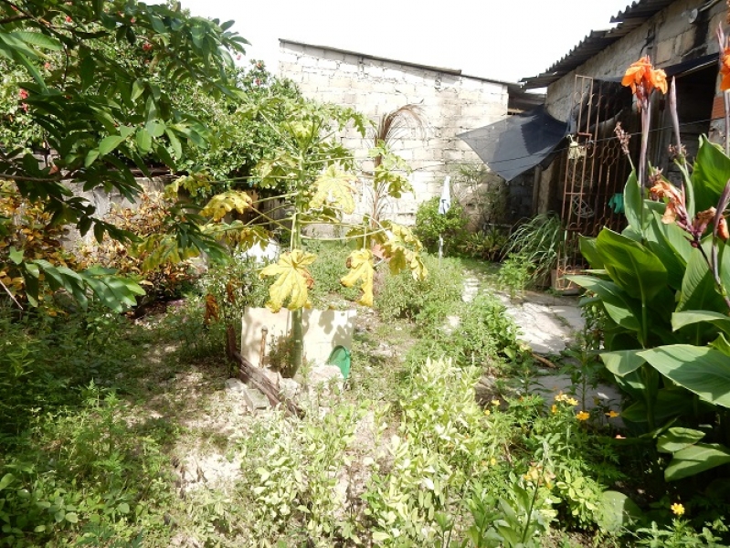 DSCN7503.JPG