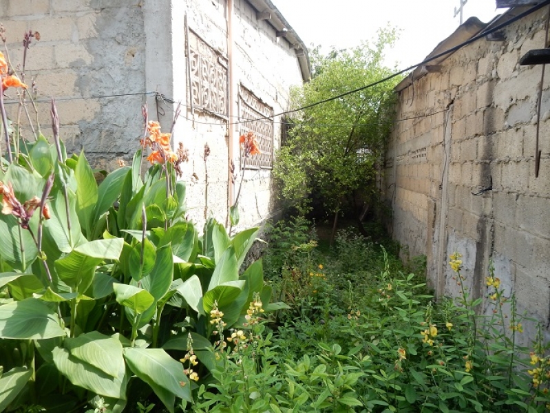 DSCN7504.JPG