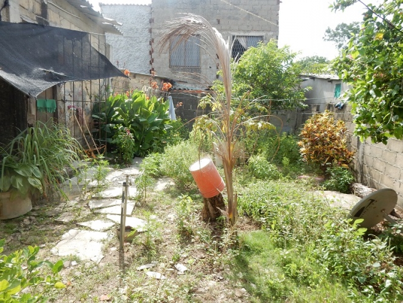 DSCN7505.JPG