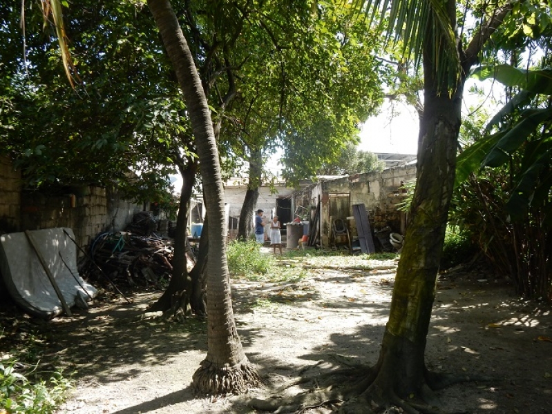 DSCN8642.JPG