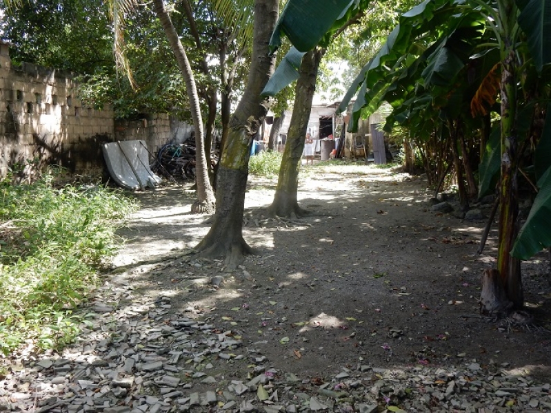 DSCN8641.JPG
