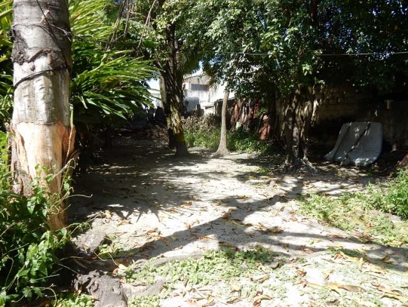 DSCN8640.JPG